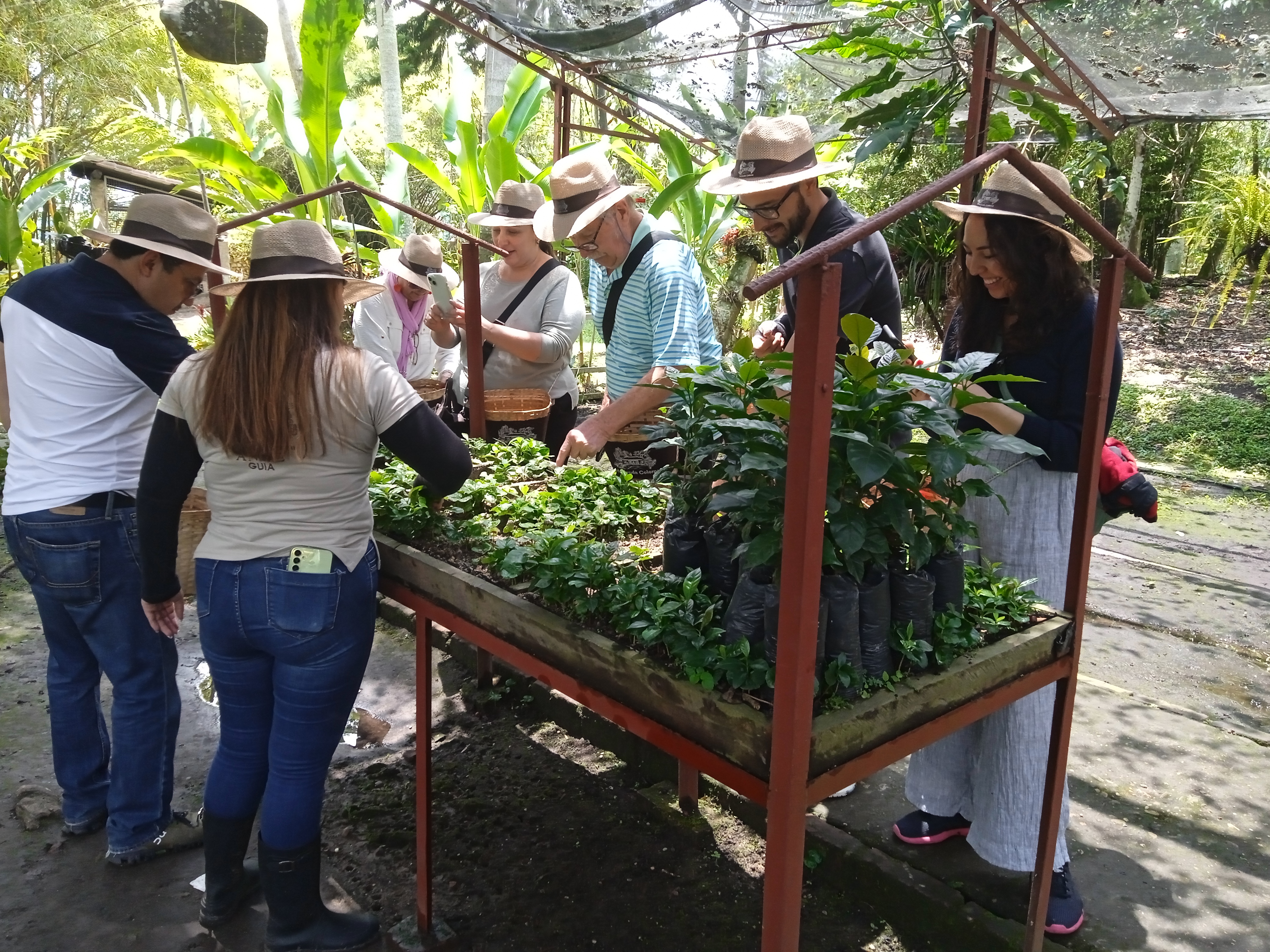 Hacienda Cafetera Coloma